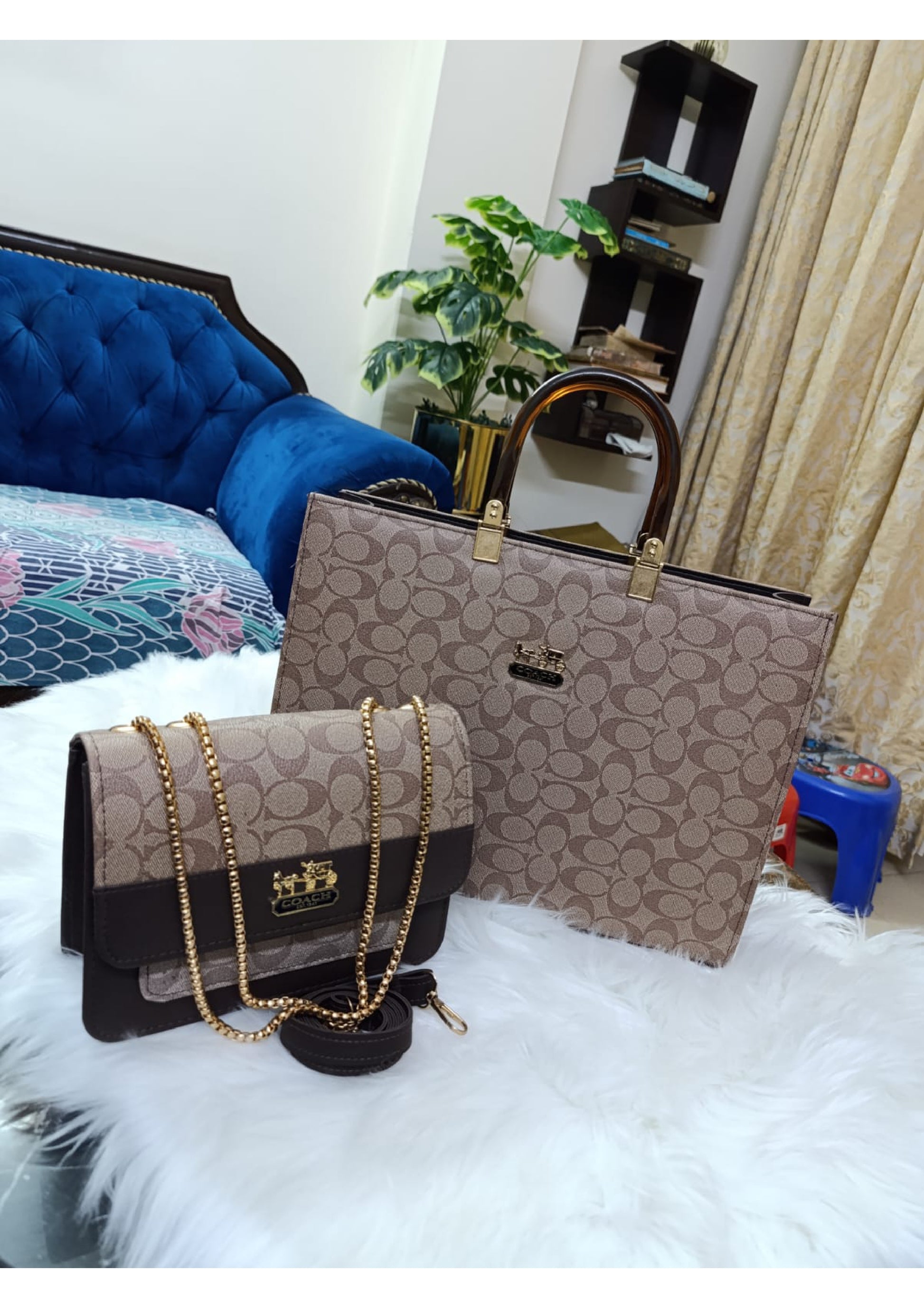 COACH LADIES BAG 2 PIECES SET