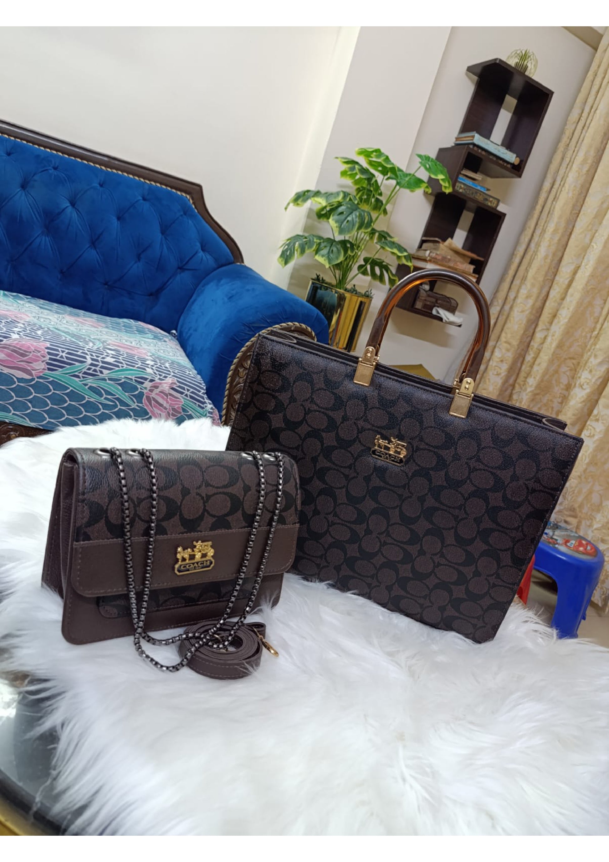 COACH LADIES BAG 2 PIECES SET,
