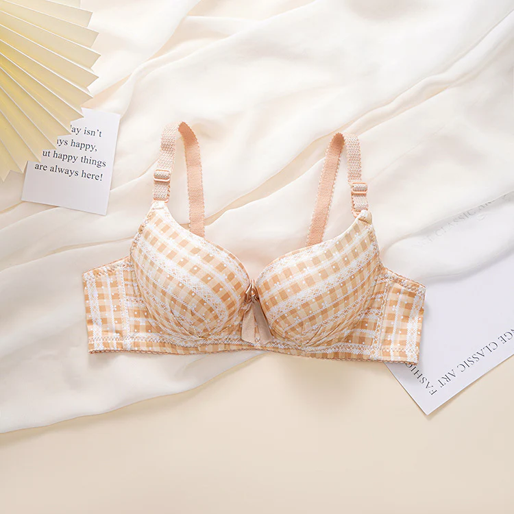 Check Design Elegant Wired Daily Wear Pushup Bra