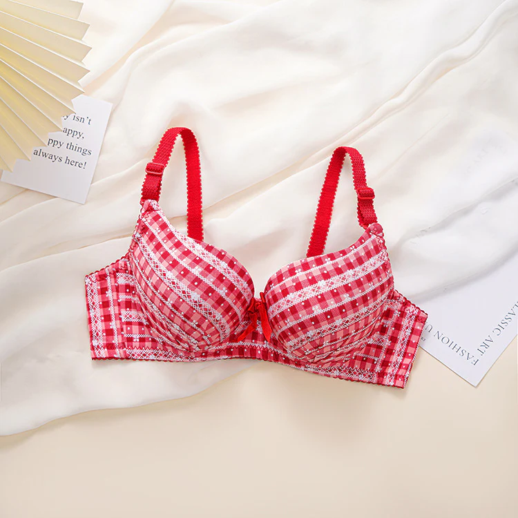 Check Design Elegant Wired Daily Wear Pushup Bra