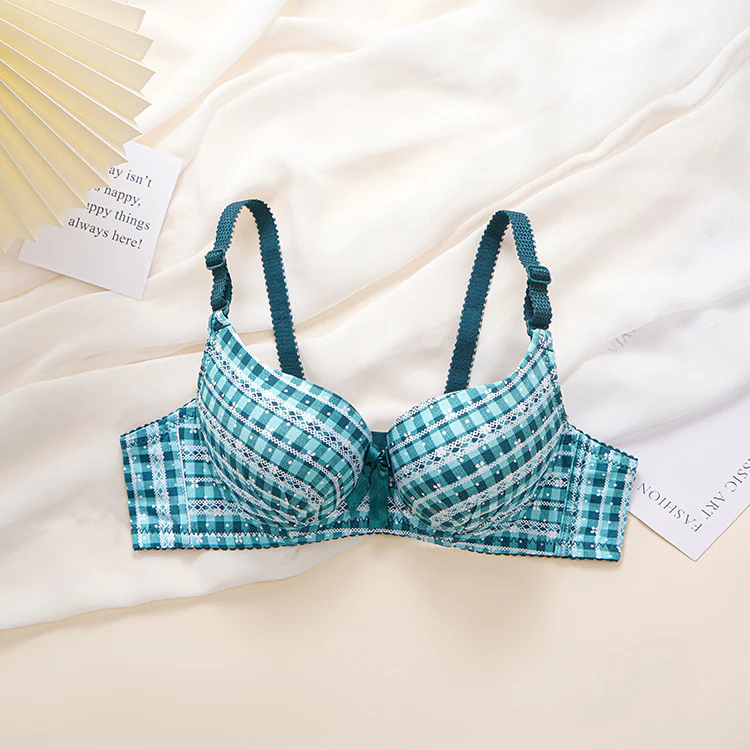 Check Design Elegant Wired Daily Wear Pushup Bra