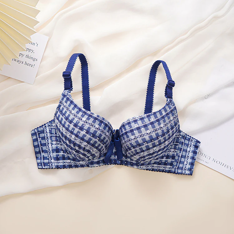 Check Design Elegant Wired Daily Wear Pushup Bra