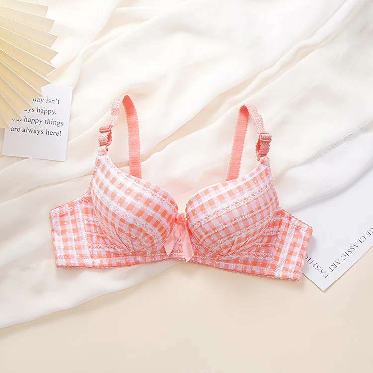 Check Design Elegant Wired Daily Wear Pushup Bra